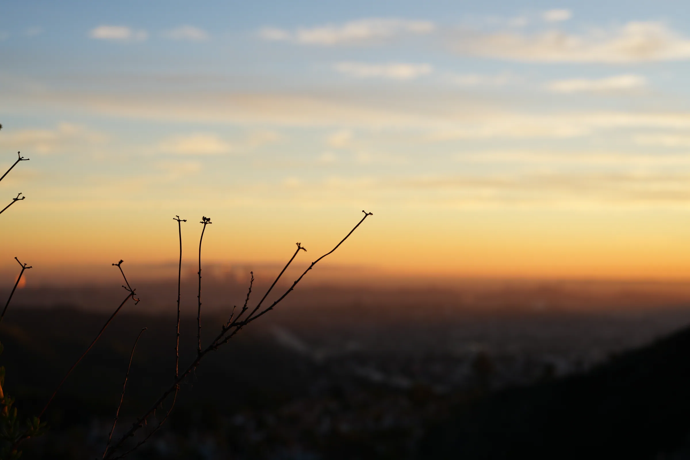 00_LA_Wide photo