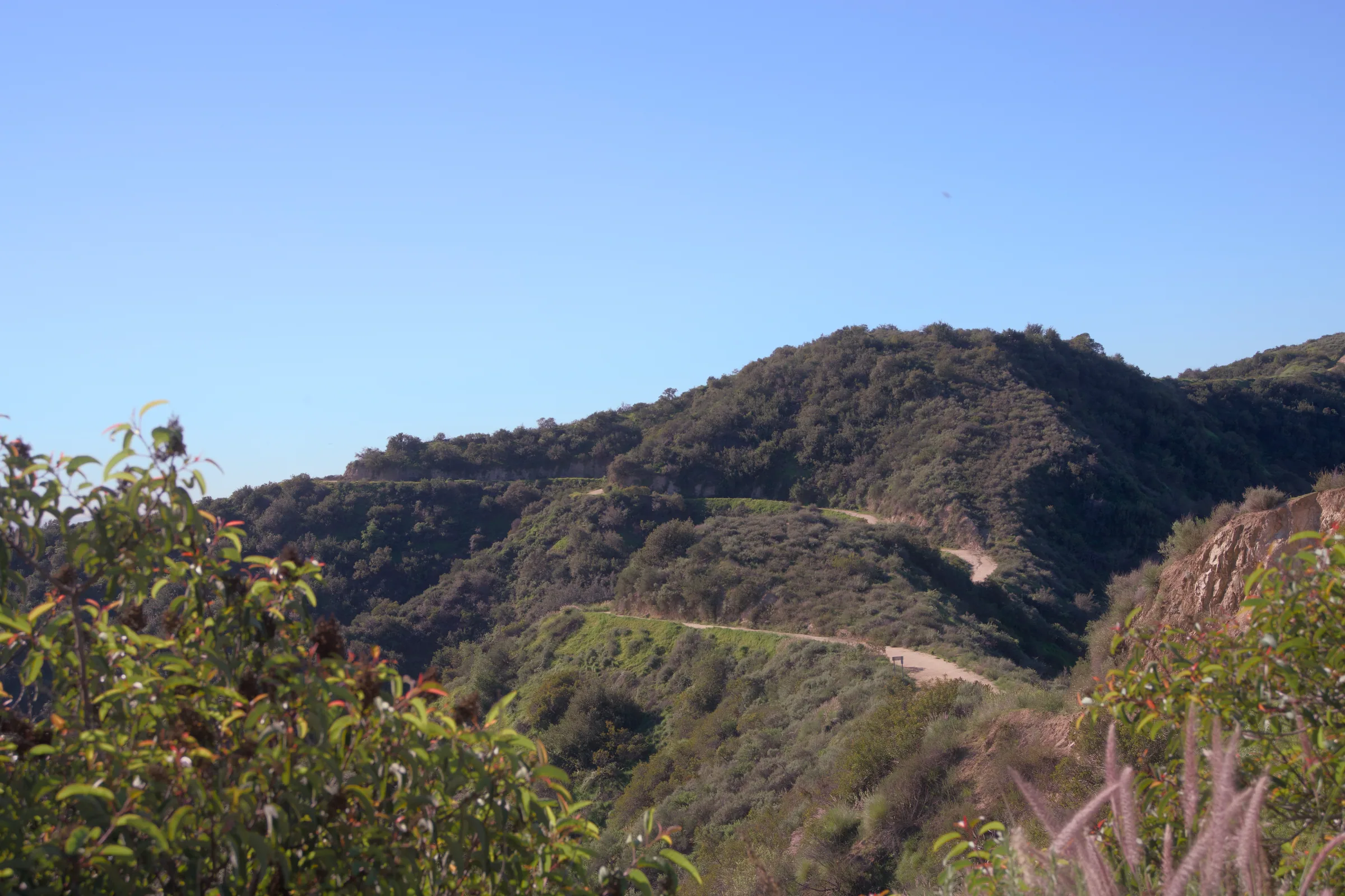 00_LA_Wide photo
