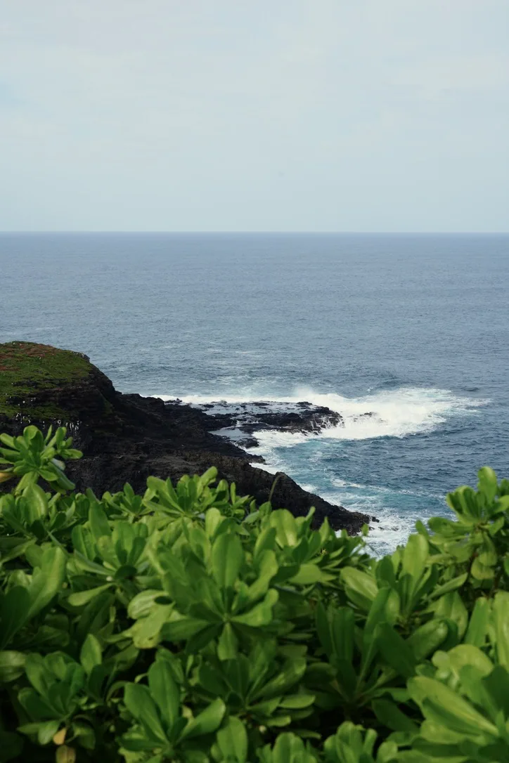 05_Landscapes photo