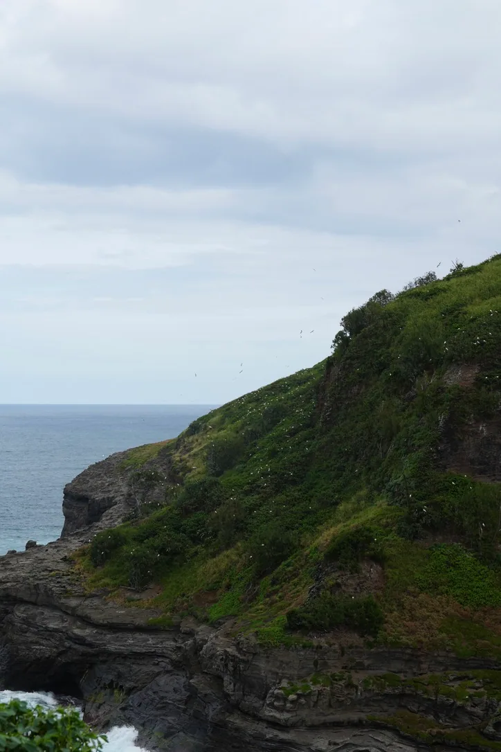 05_Landscapes photo