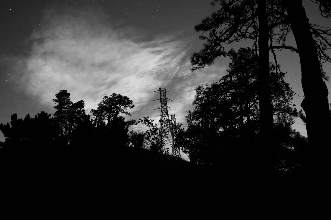 06_Newt photo