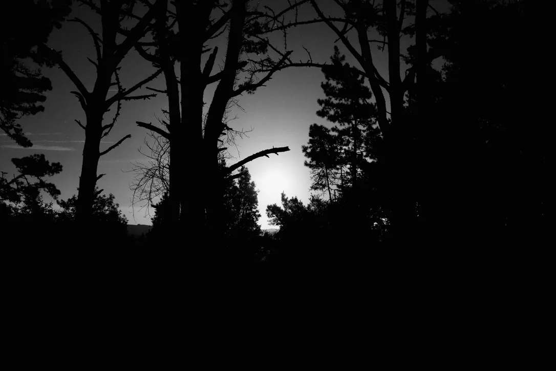 06_Newt photo